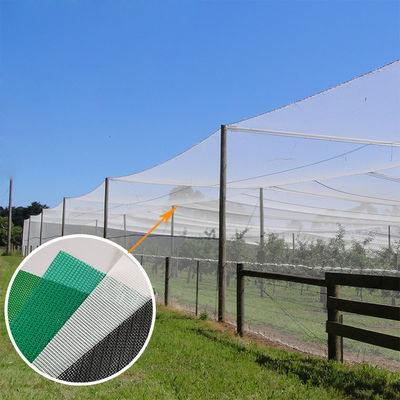 220gsm PVC Mesh Fabric For Agriculture Cover And Sunshade